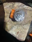 1 Ounce Silver Buffalo Rounds Tube Of 20 9 Fine Mint