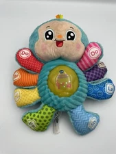 VTech Musical Critter Snug a Bug Purple Playtime Soothing Sounds Toy. Works