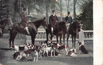POSTKARTE - DAS TREFFEN - NATIONALE SERIE - FUCHSJAGD - HUNDE UND PFERDE