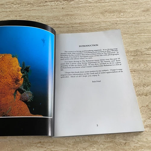 Marine Photography: Underwater Bahamas - Bob Friel - Diving / Coral Reef 1993 - Picture 10 of 20