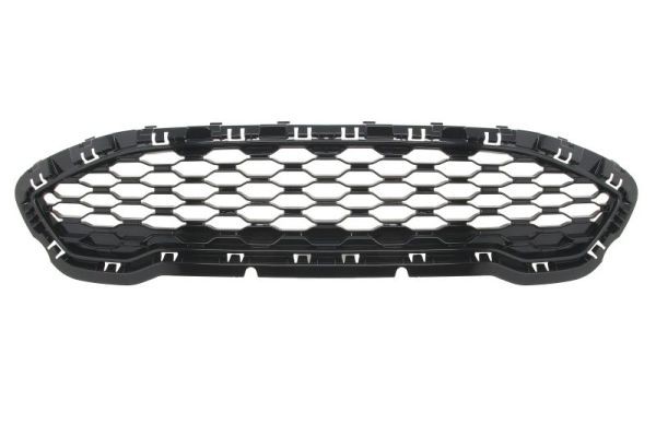 BLIC 6502-07-2566999P Radiator Grille for FORD