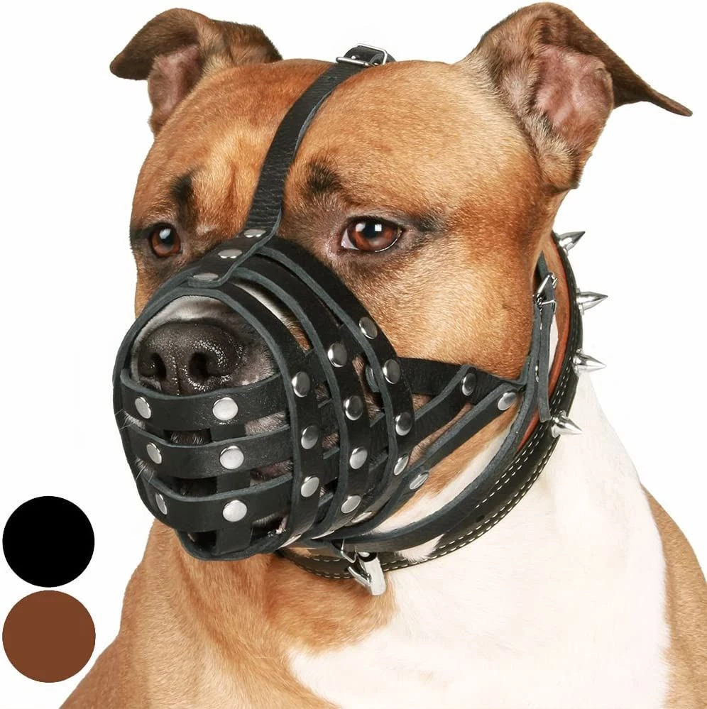 Black dog best sale muzzle