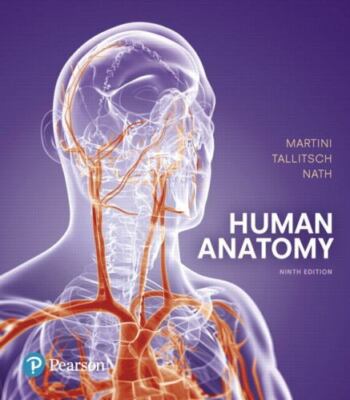 Human Anatomy by Robert Tallitsch, Judi Nath and Frederic H