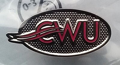 CWU ANSTECKNADEL Kommunikationsarbeiter Gewerkschaft Gewerkschaft Pin Royal Mail Postal