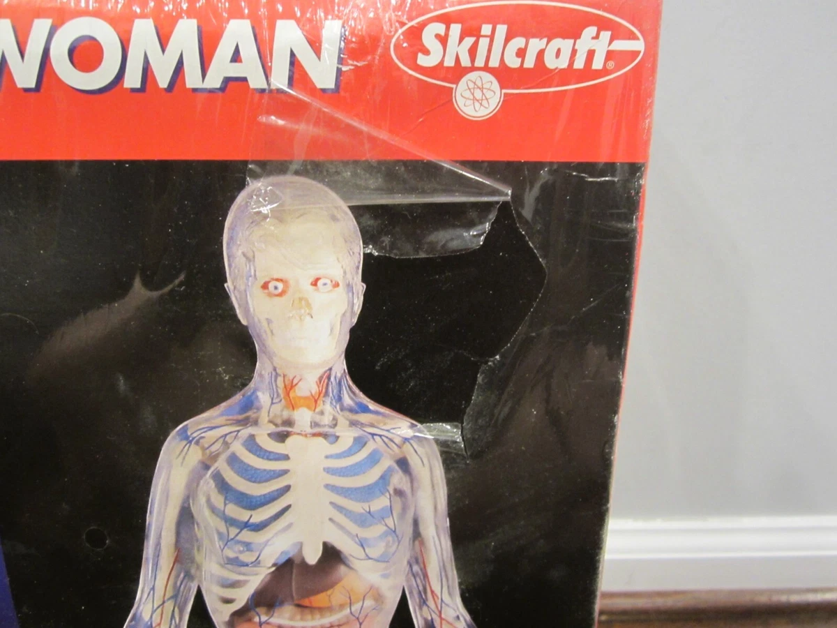 VISIBLE WOMAN Anatomy Kit (Plastic Model Kit) (Skilcraft