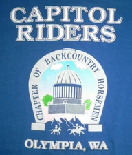 VTG 90S T SHIRT SzL OLYMPIA WA CAPITOL RIDERS JERZEES USA MADE SINGLE STITCH
