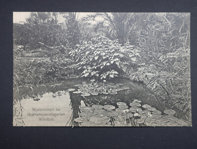 Original AK DSWA  Deutsch Südwestafrika Gouvernement Garten Windhoek um 1900