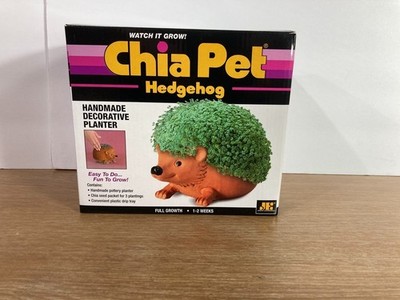 Chia Pet Hedgehog Handmade Terracotta Planter New Box New
