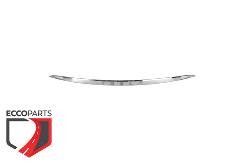 Door windshield rail – 102664900E