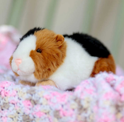 stuffed guinea pig toy