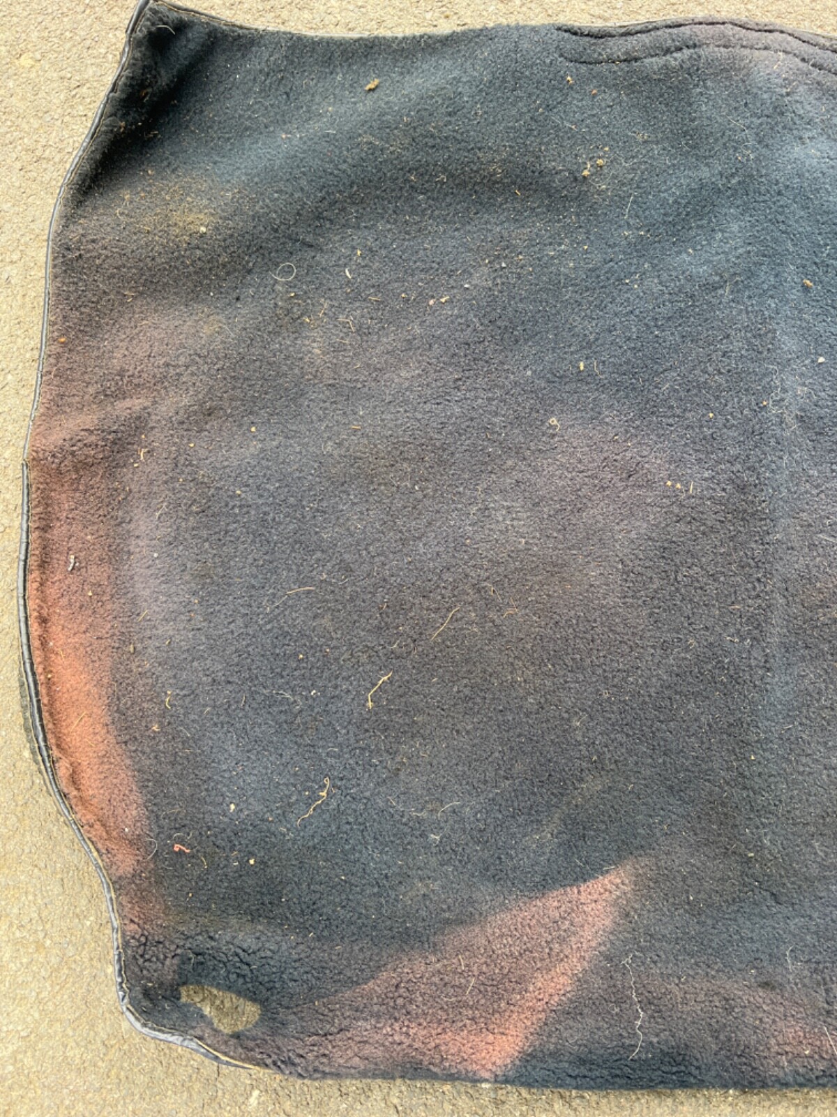 Picture 3 of 5