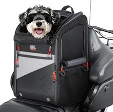 Pet Carrier Backpack for Small Dogs  Cats - Safe  Comfortable for Riding