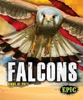 Falcons | Nathan Sommer | Englisch | Buch | Gebunden | 2018 | Ean 9781626178793