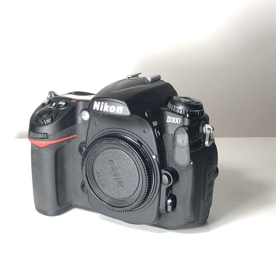 Nikon D300, photo 3 sur 5