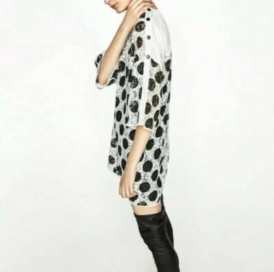 polka dot lace dress zara Zara Polka Dot Tulle Dress 2019