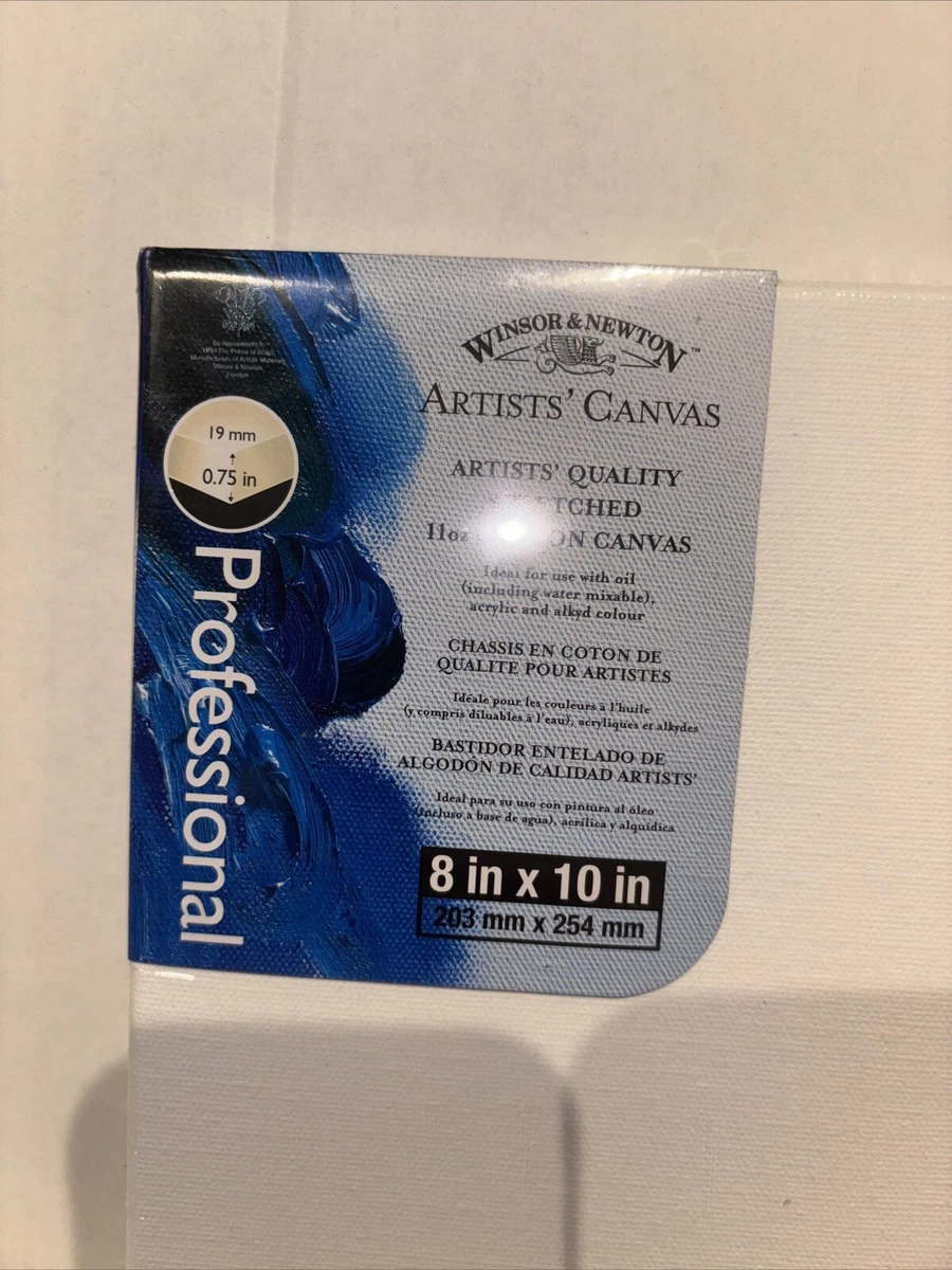 Winsor & Newton 5524008 Pennello, Legno, Trasparente, 20 x 0,6 x 0,6 cm