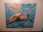 3 FABRIC POSTERS ~ 1 SHARK & 2 TURTLES!!! — photo 4