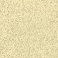 BMW Light Champagne Leather Dye