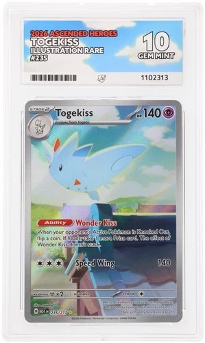 Togekiss 235/217 Illustration Rare Ascended Heroes Ace 10 Perfect Subgrades
