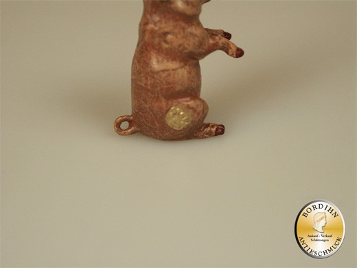Foto 5 di 6