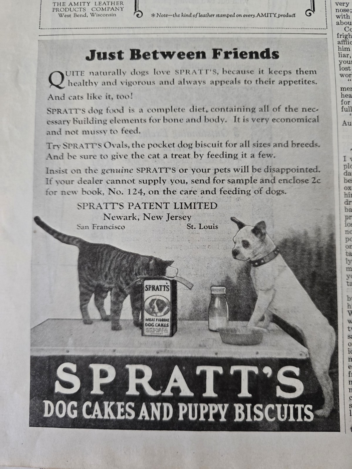 Between Cat Dog Friends Vintage Ad