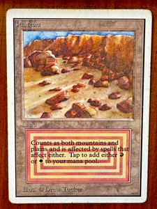 Plateau Unlimited | eBay