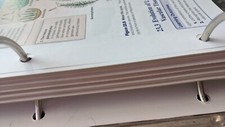 COLLEGE Biology by Sylvia S. Mader and Michael Windelspecht (2024, in binder)