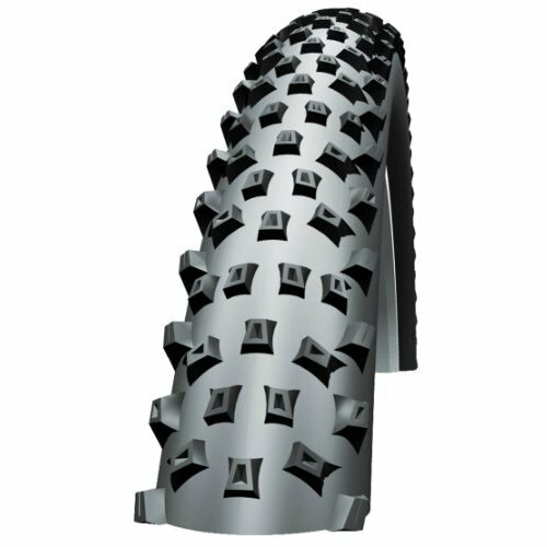 schwalbe rocket ron evo tlr 29