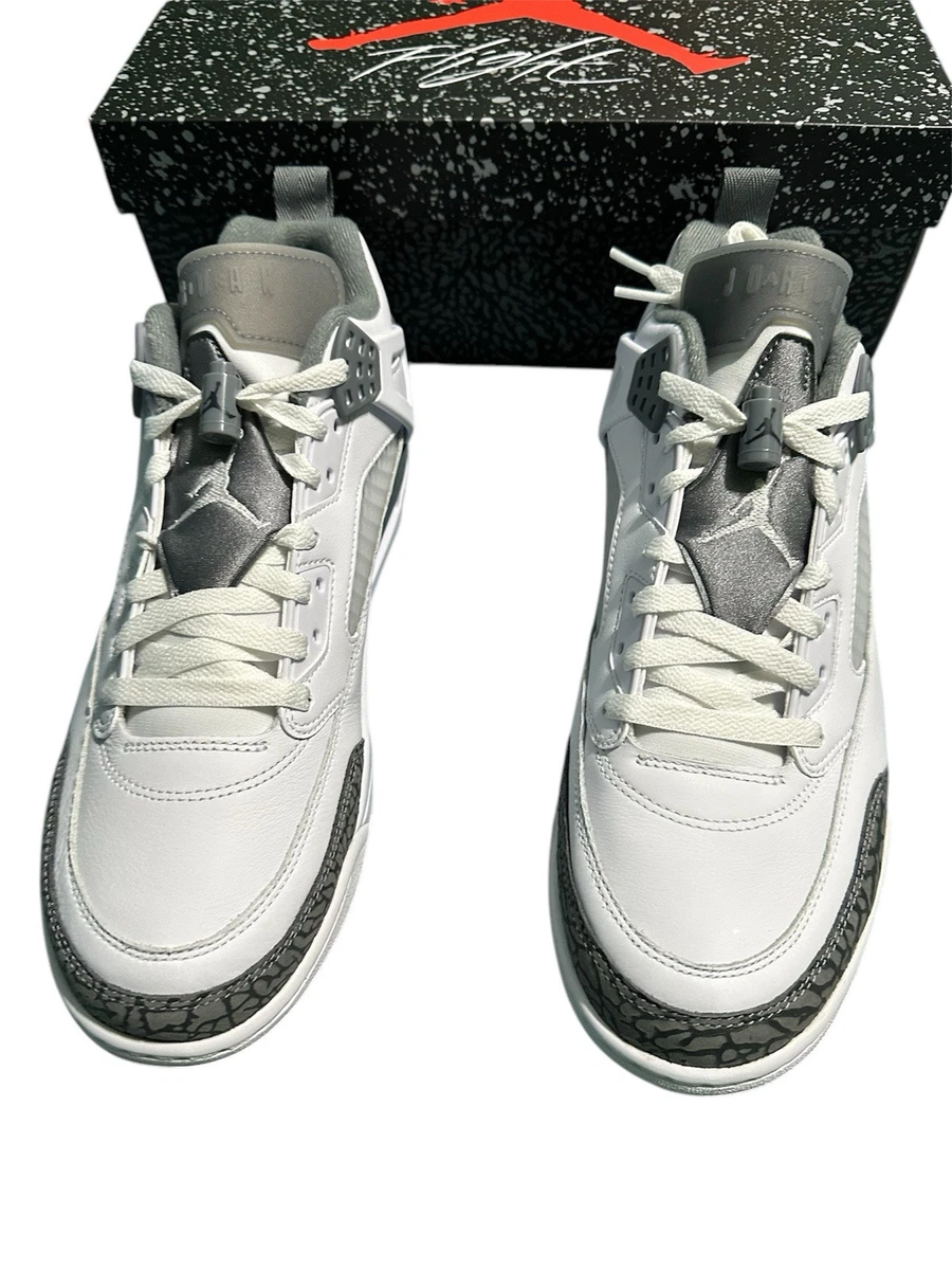 Nike Air Jordan Spizike Low White/cool Grey FQ1759-102 Men display picture 1
