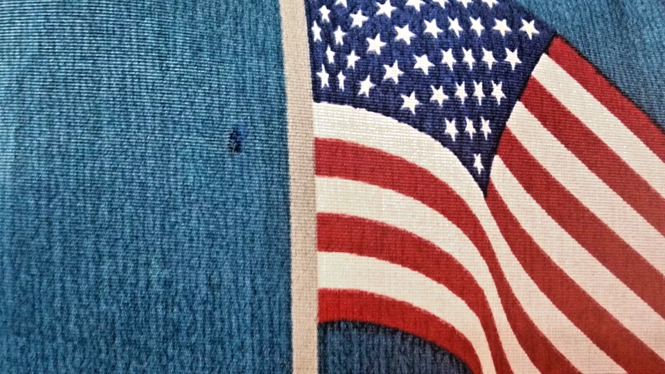 18 英寸 x 18 英寸户外/室内枕头防褪色-预先拥有。 — 第 3/4 张图片