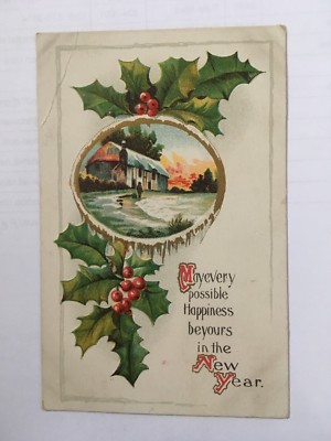 New Year with holly and cabin- May every possible happiness be yours in the New 