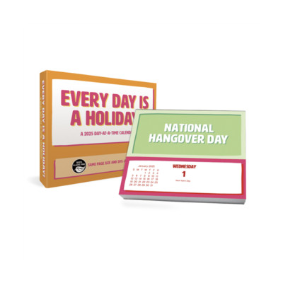 EVERY DAY IS A HOLIDAY - 2025 DAILY DESK CALENDAR - BRAND NEW - 250023