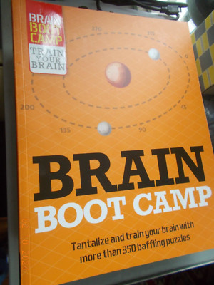 2019 Puzzle Book Brain Boot Camp, 350 puzzles with solutions