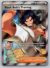 Black Belt's Training #255/217 ME: Ascended Heroes