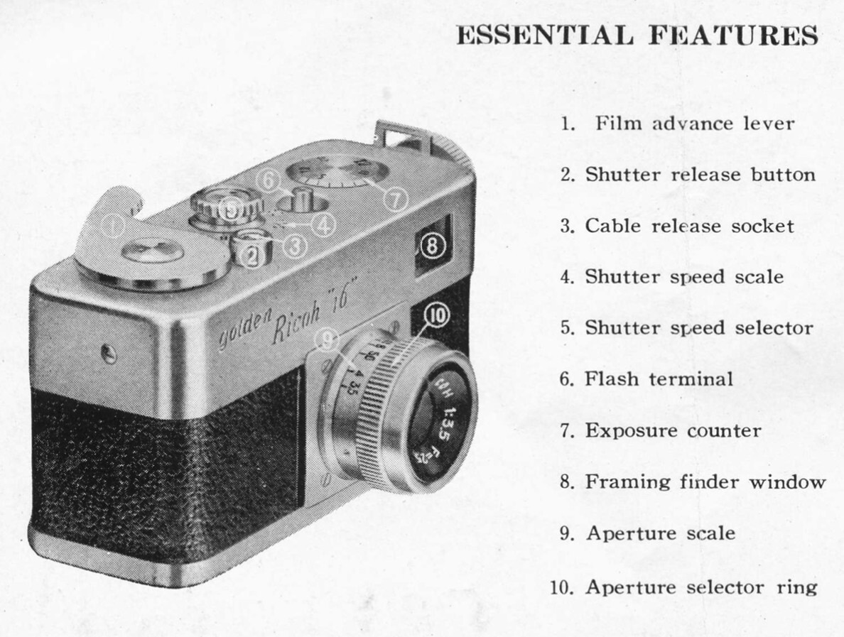golden Ricoh 
