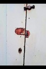 Primitive Virginia Jelly Cupboard Old Apple Green Paint  — photo 4