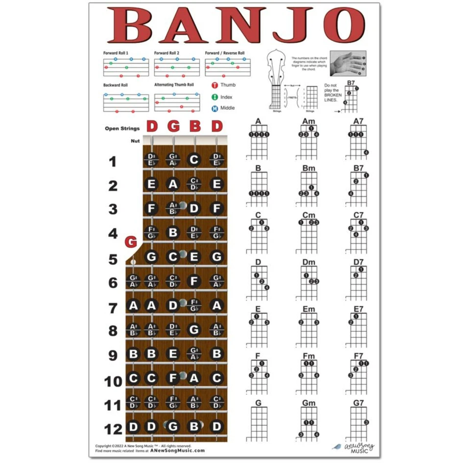 Banjo Chord Chart Poster Fretboard Rolls 5 String Chords Beginner Notes Theory - Image 3 of 4