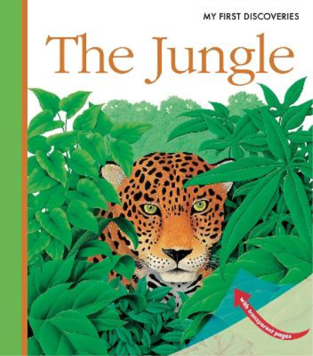 René Mettler The Jungle (Anello, filo) My First Discoveries