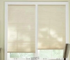 HDC-Sahara Cordless Light Filtering Cellular Shade - 48 in. W x 48 in. L