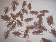 Crappie Lure Cricket Fishing Lure 40 Floating...