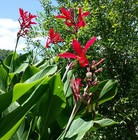 Foto 10 di 12