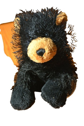 Webkinz Classic Black Bear - hm004 - Virtual Adoption Code Only | eBay
