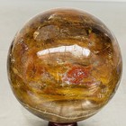 Natural Petrified Wood Polished Stone Quartz Crystal Sphere Ball Healing 1960G — photo 10