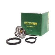 Fiesta Mk7 Thermostat on eBay