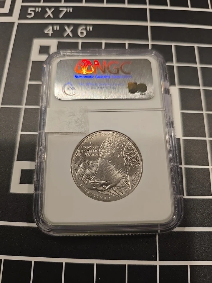 2008 S Bald Eagle 50 C 70 - Image 2 of 2