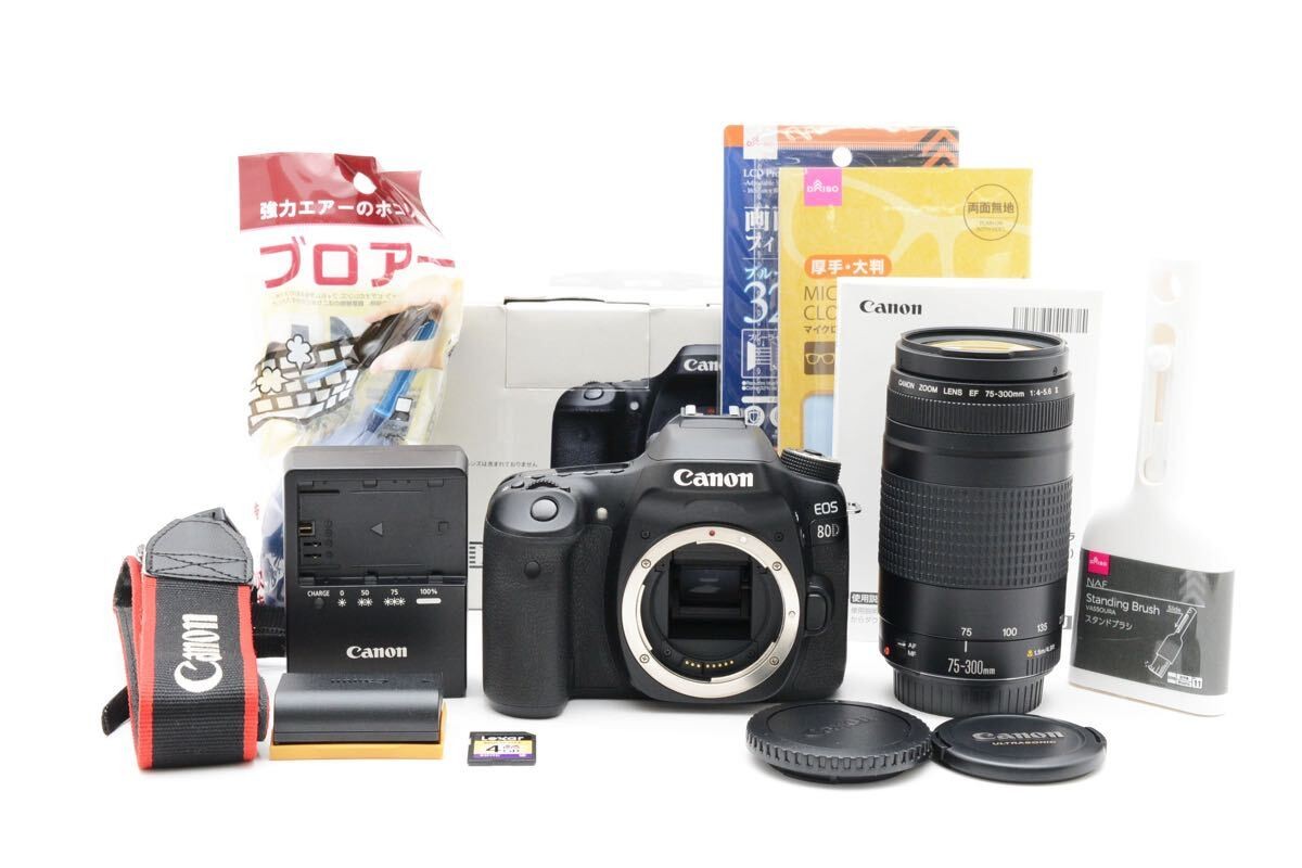 Canon - Canon EOS 80D望遠レンズセット/ Canon 75-300mm EOS 80D Canon キヤノン 超望遠トリプルレンズセット SDカード