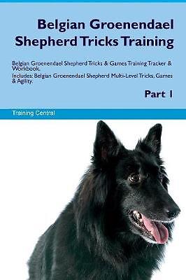 Belgian Groenendael Shepherd Tricks Training Belgi