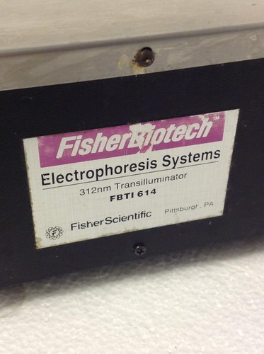 Fisherbiotech Spectroline FBT1614 312nm UV Transilluminateur Électrophorèse - Photo 9/11