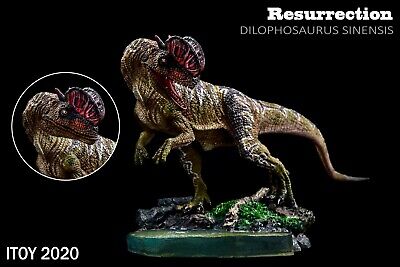 ITOY 2020 Dilophosaurus Statue Coelophysoidea Dinosaur Collector Animal Toy Gift | eBay