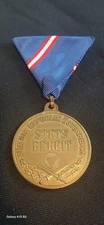 Austria/ Military  Service Medal/ Bronze